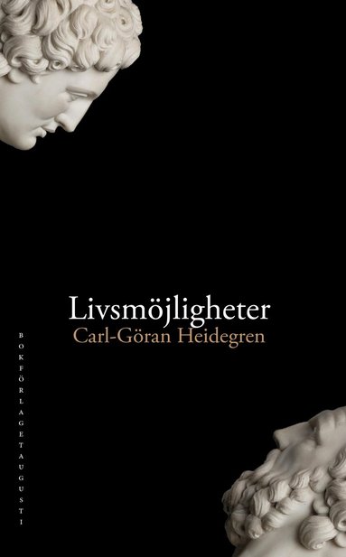Carl-Göran Heidegren - Livsmöjligheter, Inbunden