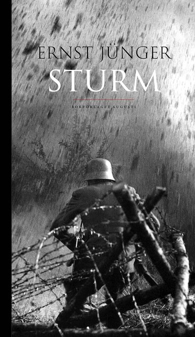 Ernst Jünger - Sturm, Inbunden