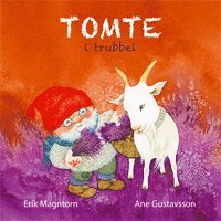 bokomslag Tomte i trubbel