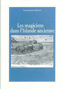 bokomslag Les magiciens dans l'Islande ancienne