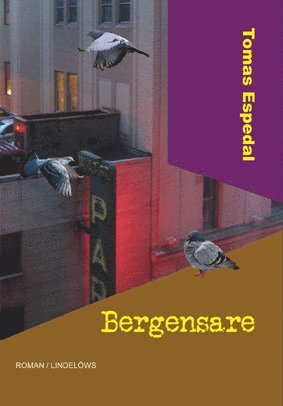 bokomslag Bergensare