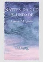 Natten då Gud blundade : Vidingeolyckan