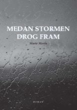 bokomslag Medan stormen drog fram