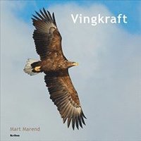 bokomslag Vingkraft