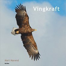 bokomslag Vingkraft