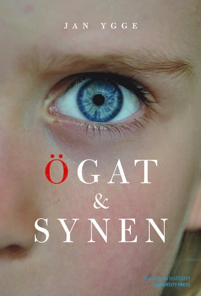 Ögat och synen