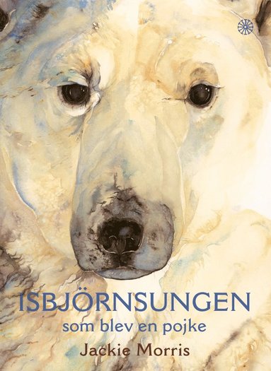 Jackie Morris - Isbjörnsungen som blev en pojke, Inbunden