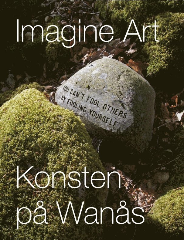 Marika Wachtmeister - Imagine Art : konsten på Wanås, Inbunden
