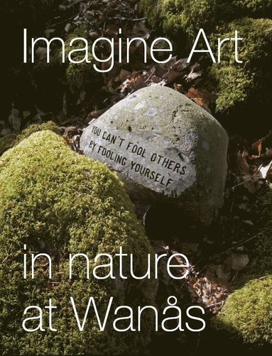 bokomslag Imagine Art : in nature at Wanås