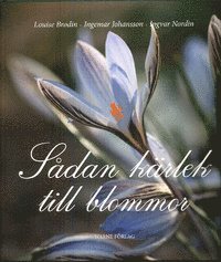 Sådan kärlek till blommor