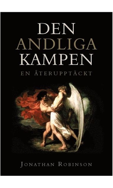 bokomslag Den andliga kampen : en återupptäckt
