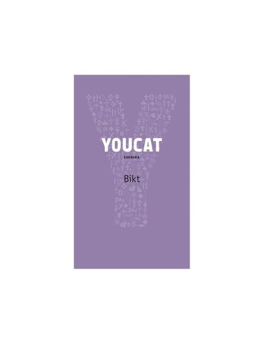 bokomslag Youcat Bikt