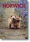 bokomslag The Norwich Terrier