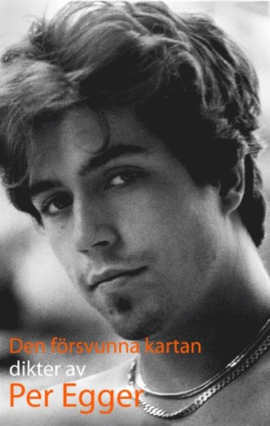bokomslag Den försvunna kartan