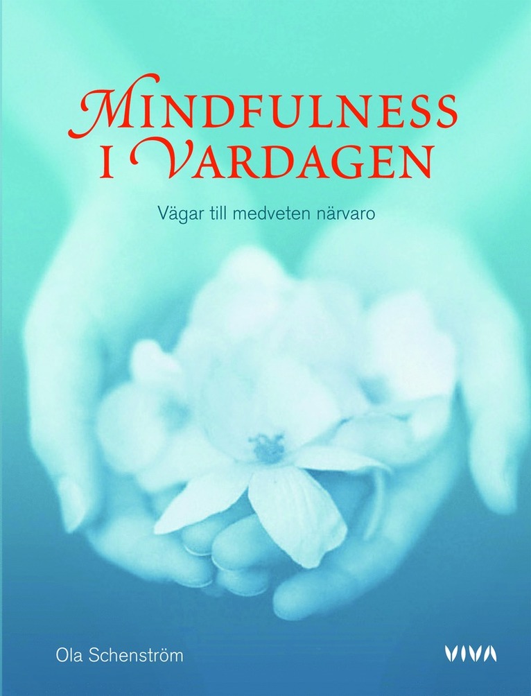 Mindfulness i vardagen : vägar till medveten närvaro 1