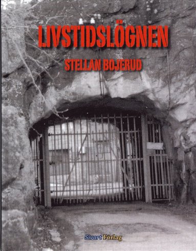 bokomslag Livstidslögnen