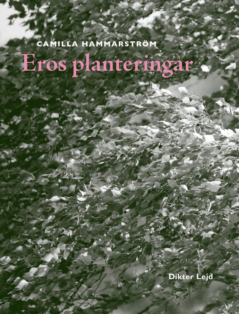 Eros planteringar 1