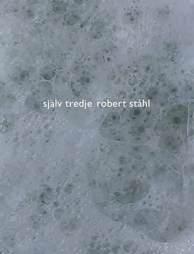 bokomslag Själv tredje