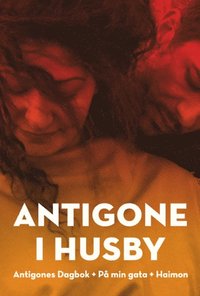 bokomslag Antigone i Husby