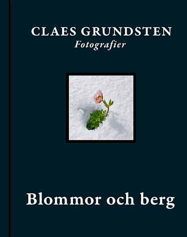 Blommor och berg