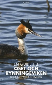 bokomslag En guide till Oset och Rynningeviken