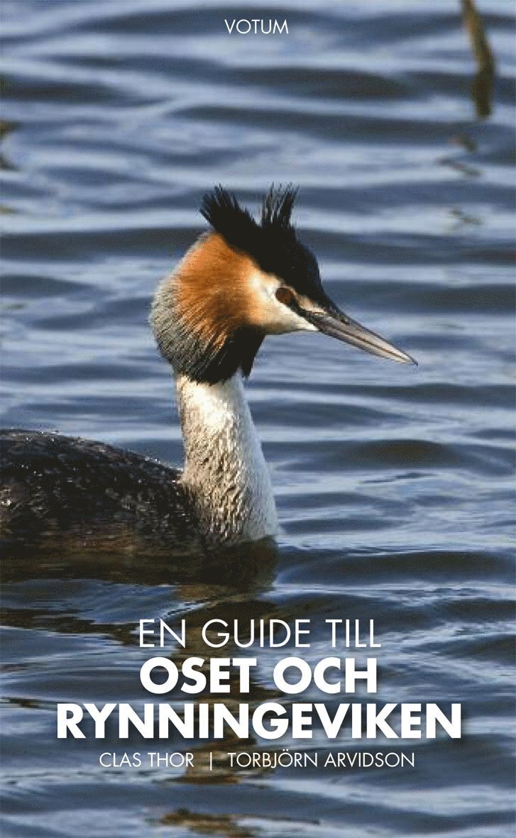 En guide till Oset och Rynningeviken 1