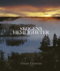 bokomslag Skogens hemligheter