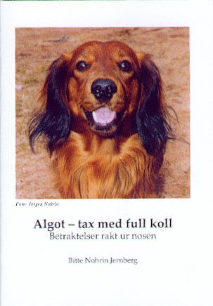 Bitte Nohrin Jernberg - Algot : tax med full koll, Häftad