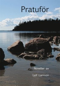 bokomslag Pratuför : noveller
