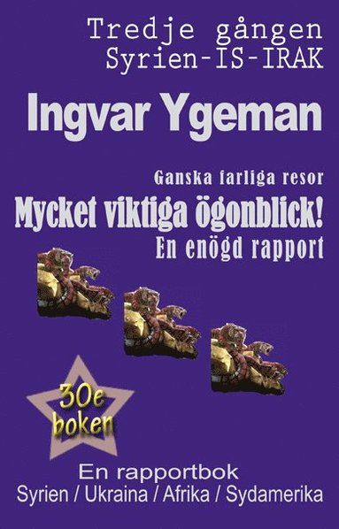 bokomslag Ganska farliga resor : mycket viktiga ögonblick