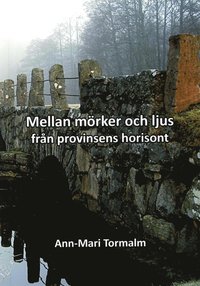 bokomslag Mellan mörker och ljus : från provinsens horisont