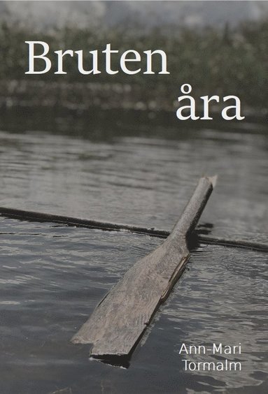 bokomslag Bruten åra