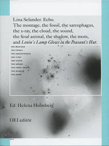 Trond Lundemo, Cecilia Grönberg, Kim West, Solveig Jülich, Frans Josef Petersson, Magnus Haglund, Vendela Fredricson, Magnus Bremmer - Lina Selander. Echo., Häftad