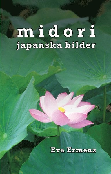 bokomslag Midori : japanska bilder