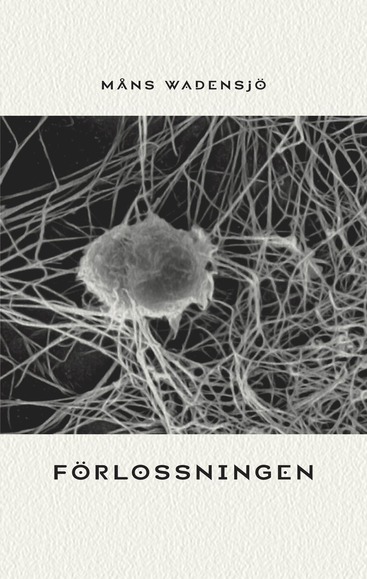 Förlossningen