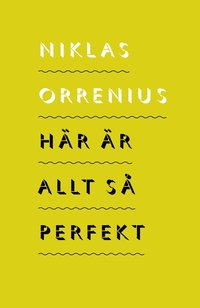bokomslag Här är allt så perfekt: 23 politiska samtidsreportage