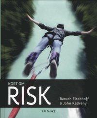bokomslag Kort om risk