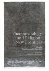 bokomslag Phenomenology and Religion : New Frontiers