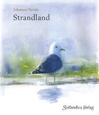 bokomslag Strandland