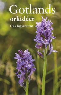 bokomslag Gotlands orkidéer
