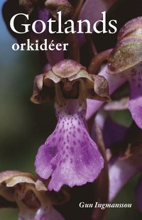 bokomslag Gotlands orkidéer