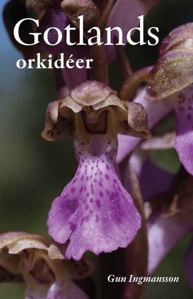 Gun Ingmansson - Gotlands orkidéer, Inbunden