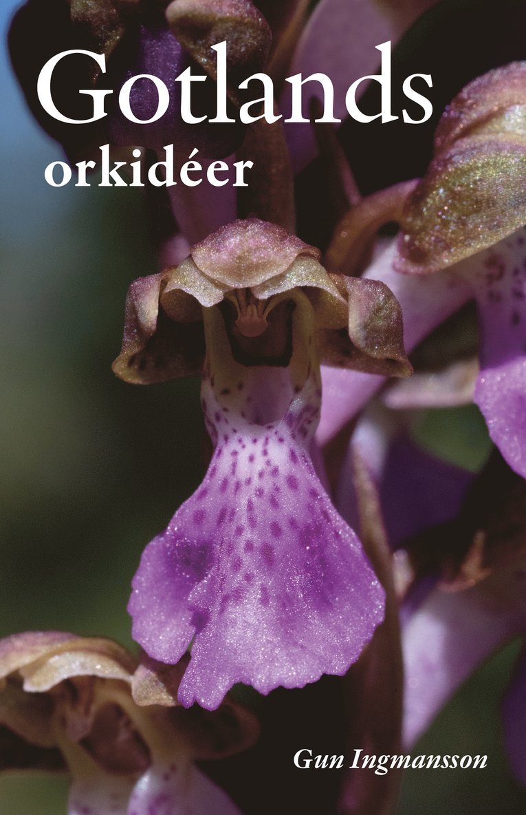 Gotlands orkidéer 1