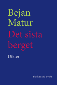 bokomslag Det sista berget