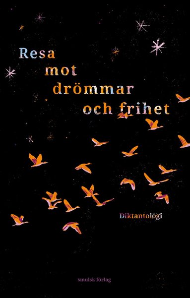 Ahmad Zardadi, Ali Rezai, Zahra Ahmadi, Ali Naseri, Tiamor Alibakhsh, Faiaz Dowlatzai, Matin Hossaini - Resa mot drömmar och frihet, Häftad