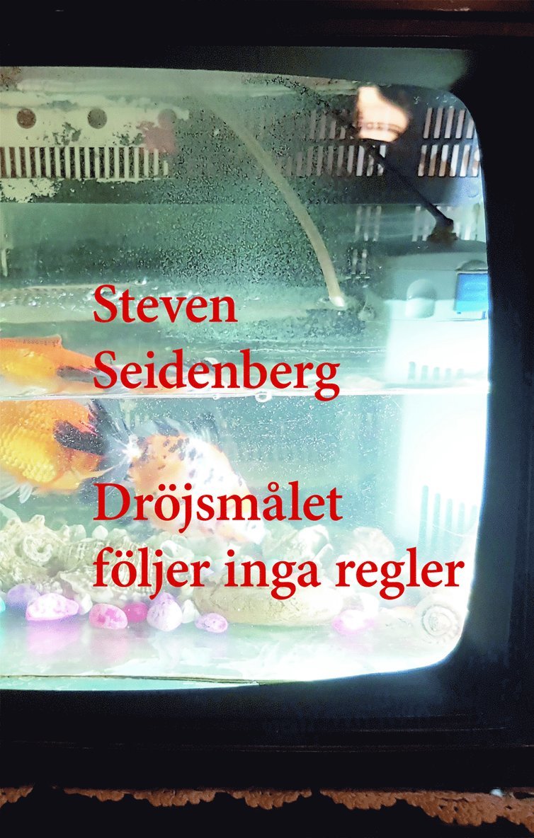 Steven Seidenberg - Dröjsmålet följer inga regler, Häftad