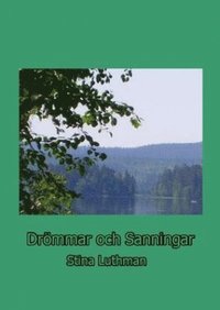 bokomslag Drömmar och sanningar