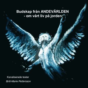 bokomslag Budskap från andevärlden : om vårt liv på jorden