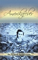 Erland Andersson - Amerikafeber, Häftad
