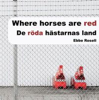 bokomslag De röda hästarnas land